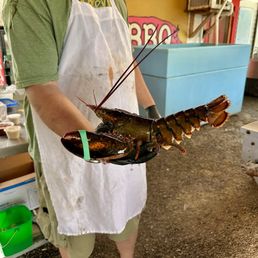Lobster!!!