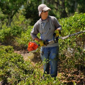 Eddie's Outdoor Solutions - Lawn Services Near Me Eddie's Outdoor Solutions - Lawn Services Near Me