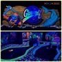 Photo of GlowGolf Scheveningen