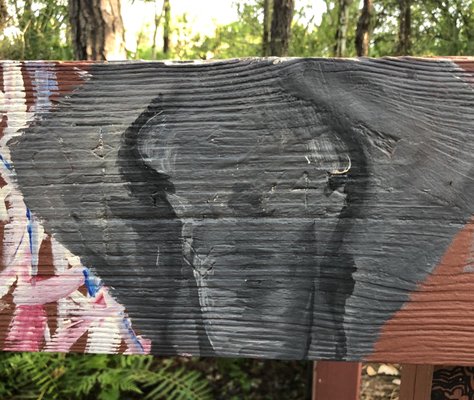 UCF Arboretum by null