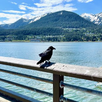 Juneau - Local Flavor Near Me
