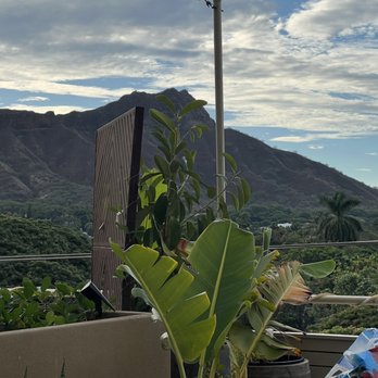 Deck. - Hawaiian Near Me - Honolulu, Hawaii Deck. - Hawaiian Near Me - Honolulu, Hawaii
