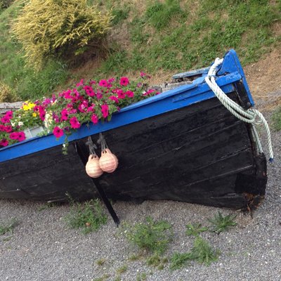 Bantry House by null