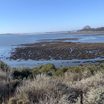 Los Osos Elfin Forest - Parks Near Me