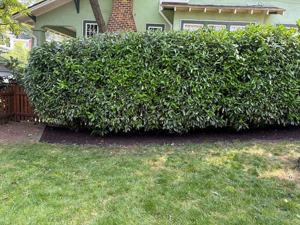 Slide of John’s Services