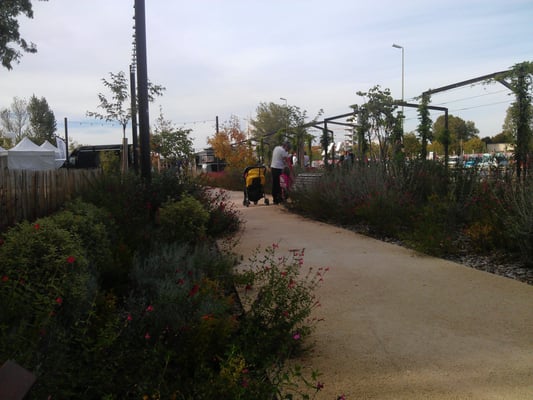 Parc aux Angéliques by null