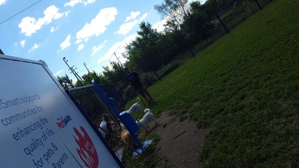 Detroit Dog Park by null