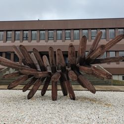 Seaflower - Seaflower, New Bedford