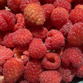 Lyman Orchards - Raspberries that we picked - Fruits & Veggies Near Me - Middlefield, Connecticut Lyman Orchards - Raspberries that we picked - Fruits & Veggies Near Me - Middlefield, Connecticut