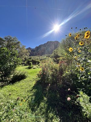 Orchard Canyon on Oak Creek by null