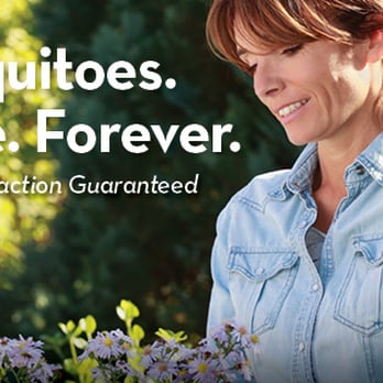 Mosquito Squad - Pest Control Near Me Mosquito Squad - Pest Control Near Me