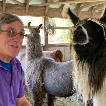 Dakota Ridge Farm - Gary keeping us very entertained - Attraction Farms Near Me - Ballston Spa, New York Dakota Ridge Farm - Gary keeping us very entertained - Attraction Farms Near Me - Ballston Spa, New York