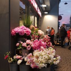 Blume 2000