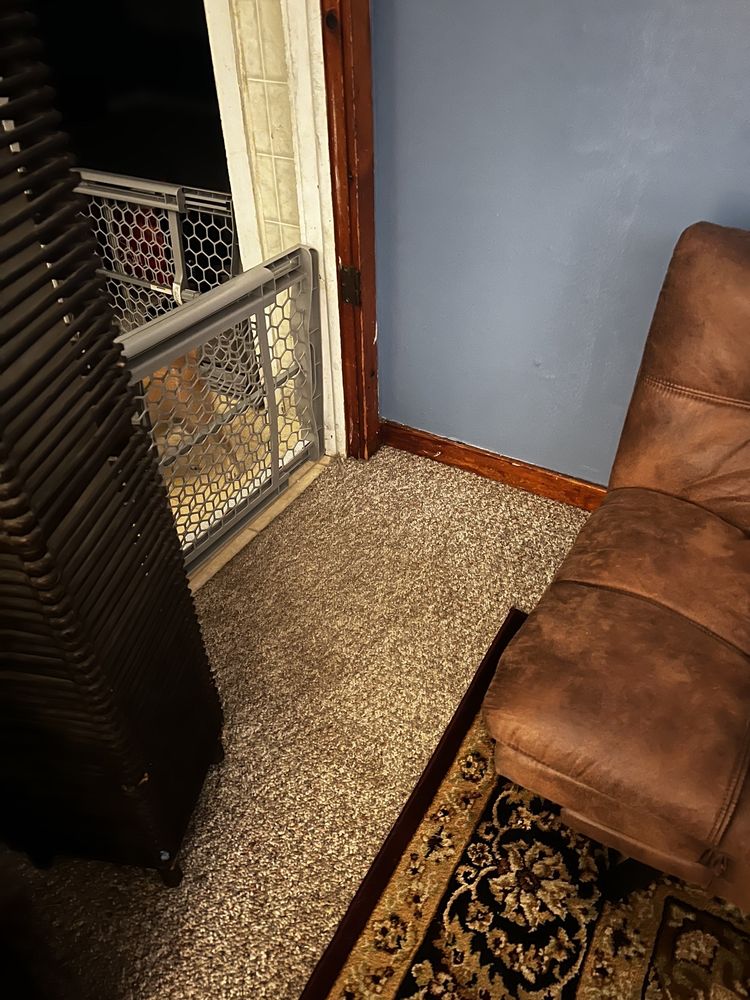 JLM CERTIFIED CARPET CLEANING, Campbell, New York 4905 Starr Rd