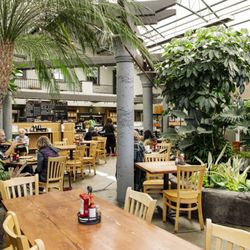 Seating in Swansons Café, located in our tropical conservatory
