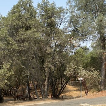 Yosemite RV Resort - RV Parks Near Me - Coarsegold, California Yosemite RV Resort - RV Parks Near Me - Coarsegold, California