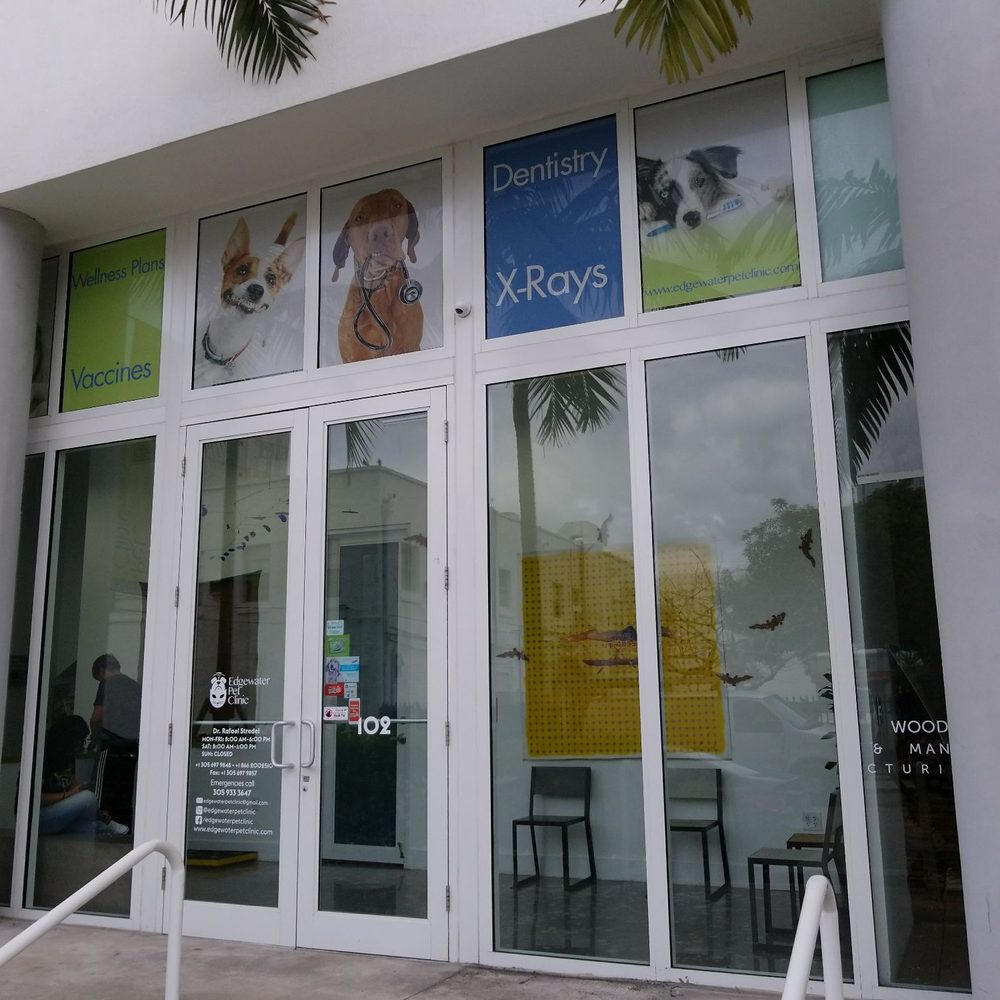 Edgewater Pet Clinic - Veterinarians Near Me - Miami, Florida Edgewater Pet Clinic - Veterinarians Near Me - Miami, Florida