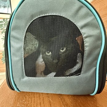 Small Animal Hospital - EmmylouWho - Veterinarians Near Me - Milwaukee, Wisconsin Small Animal Hospital - EmmylouWho - Veterinarians Near Me - Milwaukee, Wisconsin