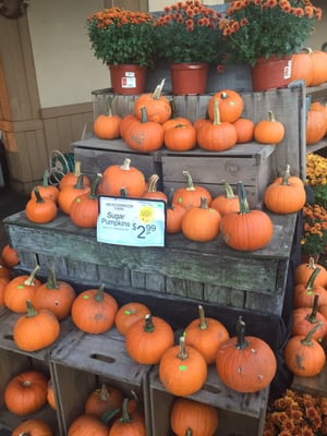 Big Y at Fresh Acres by null