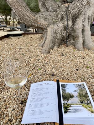 Biddle Ranch Vineyard by null
