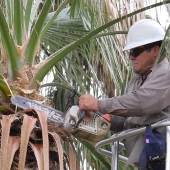 Jamison Tree Service - untitled - Tree Services Near Me Jamison Tree Service - untitled - Tree Services Near Me
