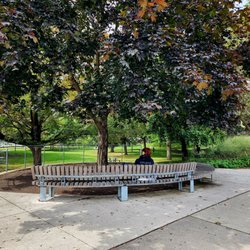 Ramsden Park - Bench
