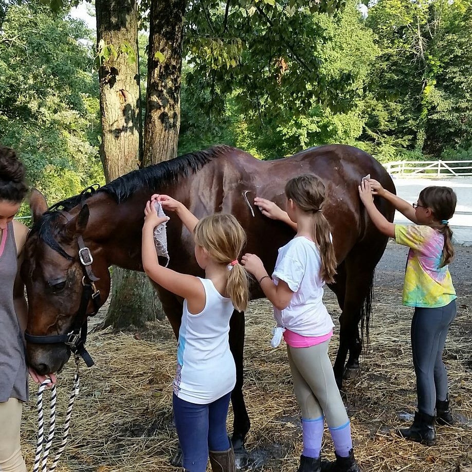 MOONLIGHT FARM Updated July 2024 39 Picketts Ridge Rd, Redding
