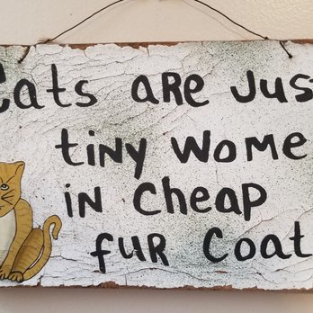 The Cat Cafe - Coffee & Tea Near Me - San Diego, California The Cat Cafe - Coffee & Tea Near Me - San Diego, California