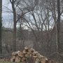 D&D Tree Service
