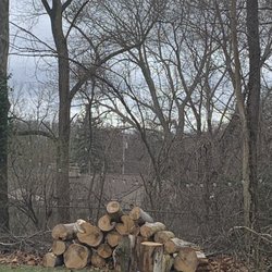 D&D Tree Service - Cut up wood left as agreed upon :)