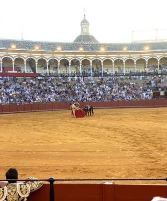 Plaza de Toros de la Real Maestranza de Caballería de Sevilla by null
