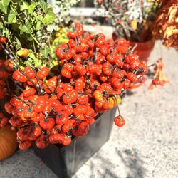 Alborada Florist - Aren't Pumpkins, But They're So Doable For Fall Decorating