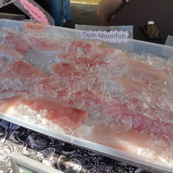 Salmon Slinger - Today's fresh catch displayed at Little Italy market. - Seafood Markets Near Me - San Diego, California Salmon Slinger - Today's fresh catch displayed at Little Italy market. - Seafood Markets Near Me - San Diego, California