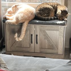 Burke County Friends For Animals Adoption Center - Gets along well with my older  cat.
