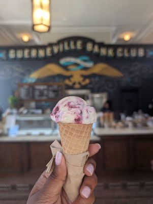 Nimble & Finn's by null