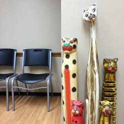 The Allergy Clinic - Waiting room cats