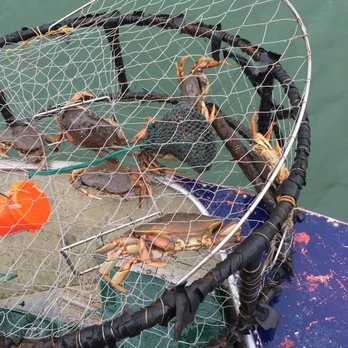 Green Rocks Lodge - Pulling up my crab pot was always so exciting! - Fishing Near Me - Petersburg, Alaska