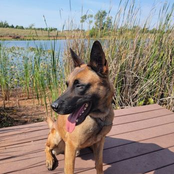 West Coast K9 - Pet Training Near Me West Coast K9 - Pet Training Near Me