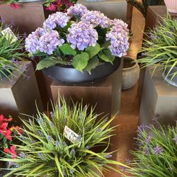 Faux plants