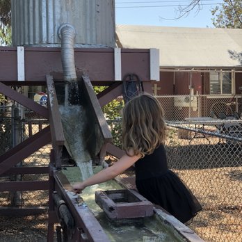 Montebello Barnyard Zoo - Mining for treasure - Petting Zoos Near Me - Montebello, California Montebello Barnyard Zoo - Mining for treasure - Petting Zoos Near Me - Montebello, California