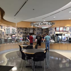 Flying Cow Cafe - Flying Cow Cafe