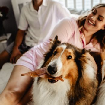 Miranda Lynch Photography - Pet Photography Near Me Miranda Lynch Photography - Pet Photography Near Me