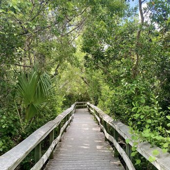 Mahogany Hammock Trail - Parks Near Me Mahogany Hammock Trail - Parks Near Me