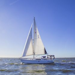 Sun Sailing Charters