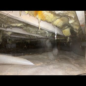 DeTect Termite & Moisture Service and The Brickkicker - Home Inspectors Near Me - Norfolk, Virginia DeTect Termite & Moisture Service and The Brickkicker - Home Inspectors Near Me - Norfolk, Virginia
