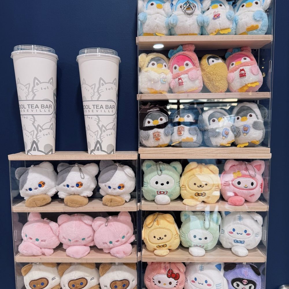 Cool Tea Bar - Surprise (Blind/Mystery) Cups - Bubble Tea Near Me - Roseville, California