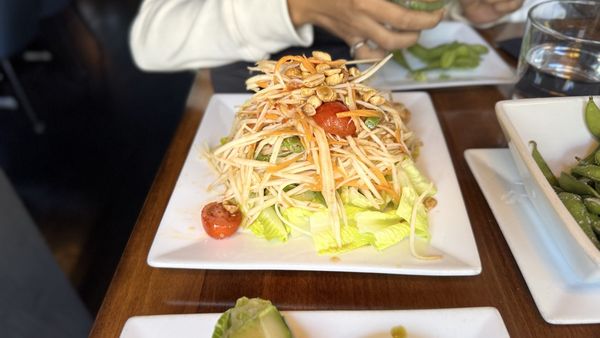 Bodhi Federal Hill by null