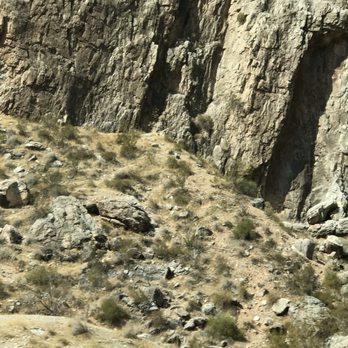 Virgin River Gorge - You can see Big Horn Sheep climbing around in the cooler season - Landmarks & Historical Buildings Near Me - Littlefield, Arizona Virgin River Gorge - You can see Big Horn Sheep climbing around in the cooler season - Landmarks & Historical Buildings Near Me - Littlefield, Arizona