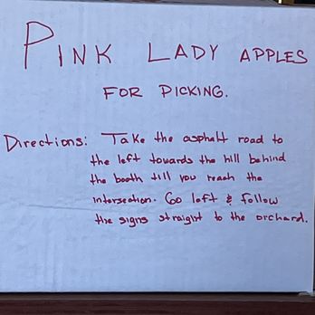 Carter Mountain Orchard - It seems they cycle through areas and apple varietals as needed. - Pick Your Own Farms Near Me - Charlottesville, Virginia