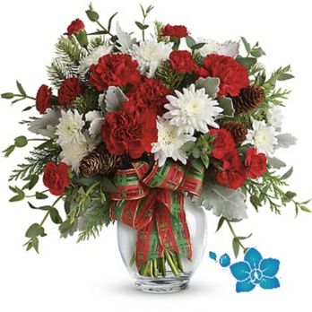 The Blue Orchid - Florists Near Me - Richmond, Michigan The Blue Orchid - Florists Near Me - Richmond, Michigan